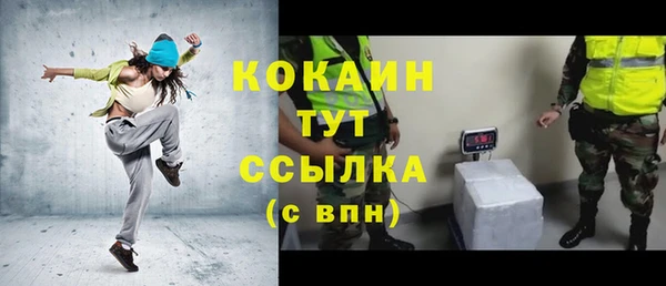 шишки Арсеньев