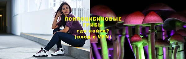 шишки Арсеньев