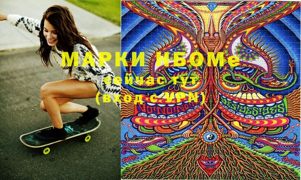 шишки Арсеньев